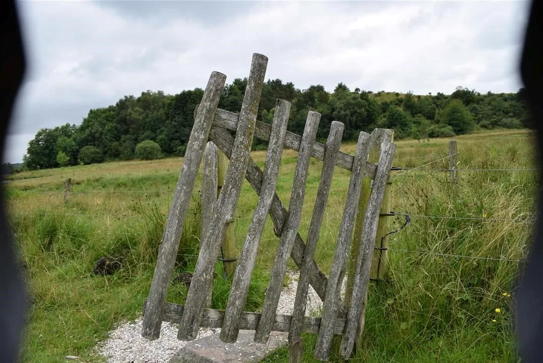 G21.5  bramslev bakker to hobro walk along mariager fjord (13)